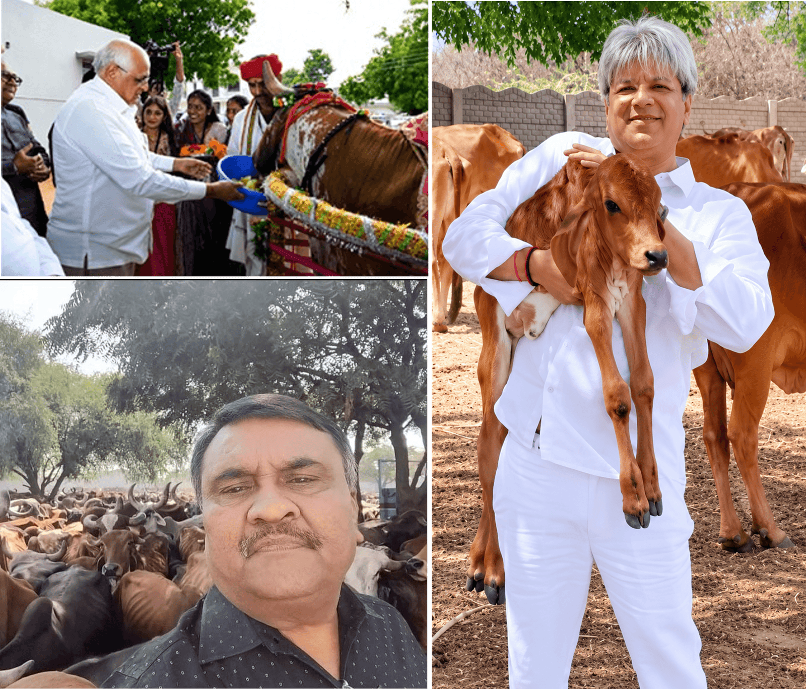 સાયલા મહાજન પાંજરાપોળ ખાતે શનિવારે નિર્માણધીન પશુ-પક્ષી હોસ્પિટલની મુલાકાત લેશે મુખ્યમંત્રી