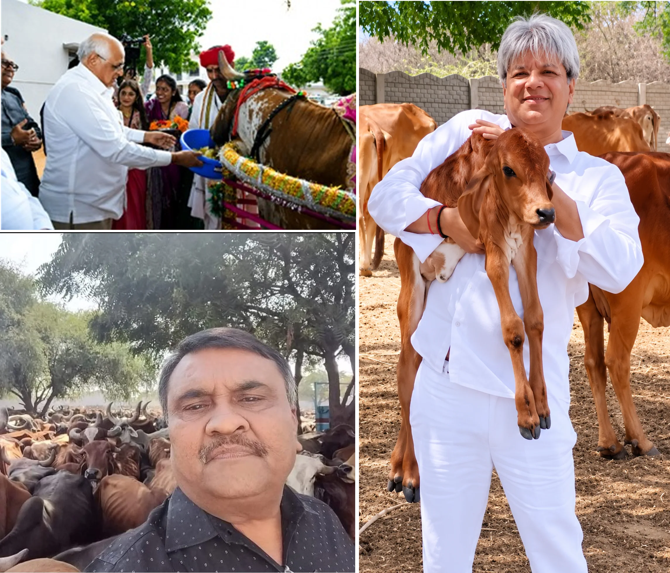 સાયલા મહાજન પાંજરાપોળ ખાતે શનિવારે નિર્માણધીન પશુ-પક્ષી હોસ્પિટલની મુલાકાત લેશે મુખ્યમંત્રી