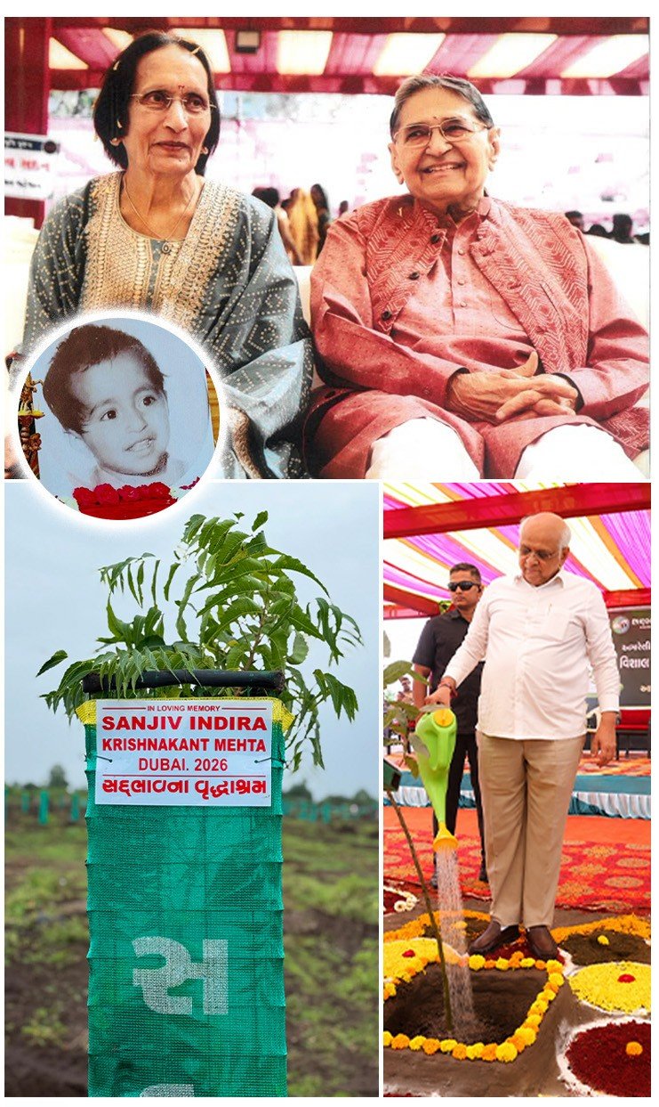 અમરેલીના વરસડા ગામમાં 100 એકર જગ્યામાં “સંજીવ વન”નું નિર્માણ