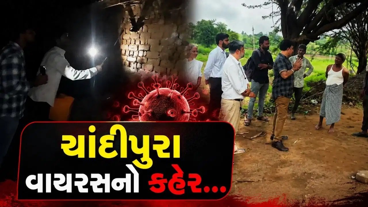 બનાસકાંઠાના અમીરગઢ અને કાંકરેજ ગામમાં ચાંદીપુરાથી બે બાળકોના મોત