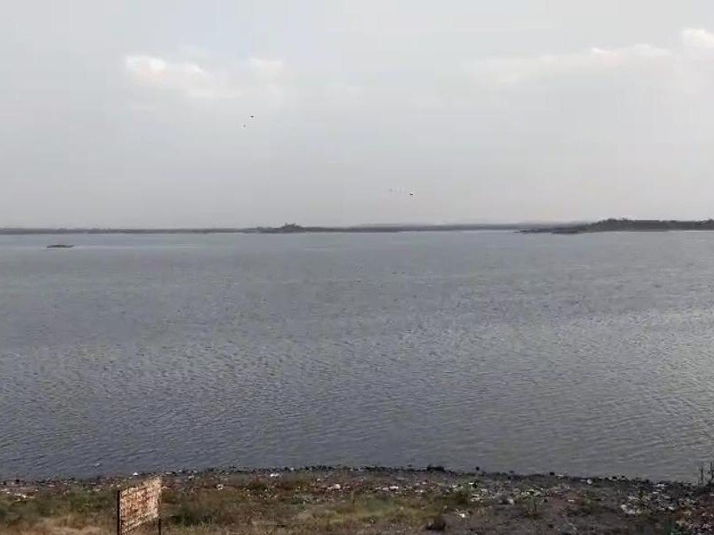  આજી-ન્યારી ડેમને દિવાળી પહેલા નર્મદા નીરથી ભરાશે